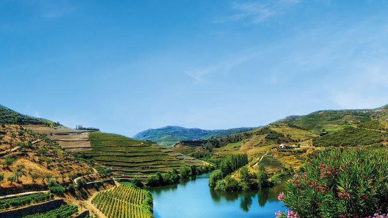 Croisière De Porto vers l'Espagne, la vallée du Douro et Salamanque (formule port/port) - 5