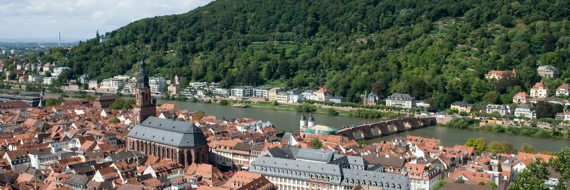 Paysage d'Heidelberg 