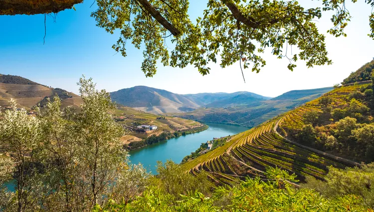 Point de vue sur la vallée du Douro 