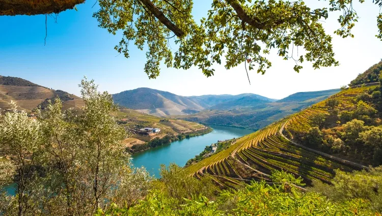 Point de vue sur la vallée du Douro 