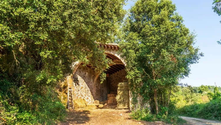 Le parc naturel du Massif des Gavarres 