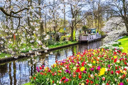 Vignette parc de Keukenhof en Hollande 