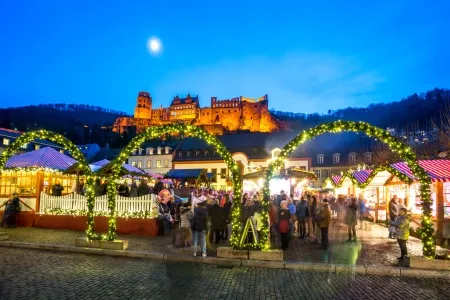 La ville d'Heidelberg en hiver 