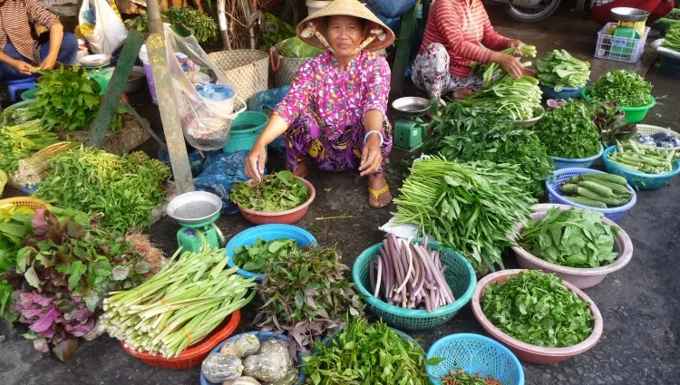 Marché Sa Dec 