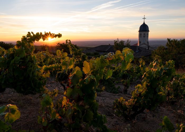 Croisière exceptionnelle sur la Saône pour célébrer le Beaujolais Nouveau (formule port/port)