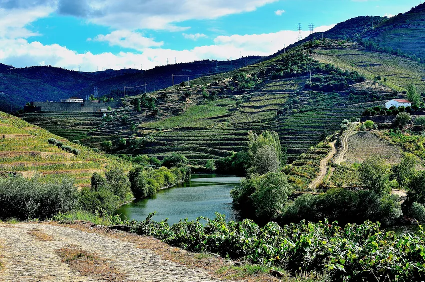 La vallée du Douro et la route des vins 