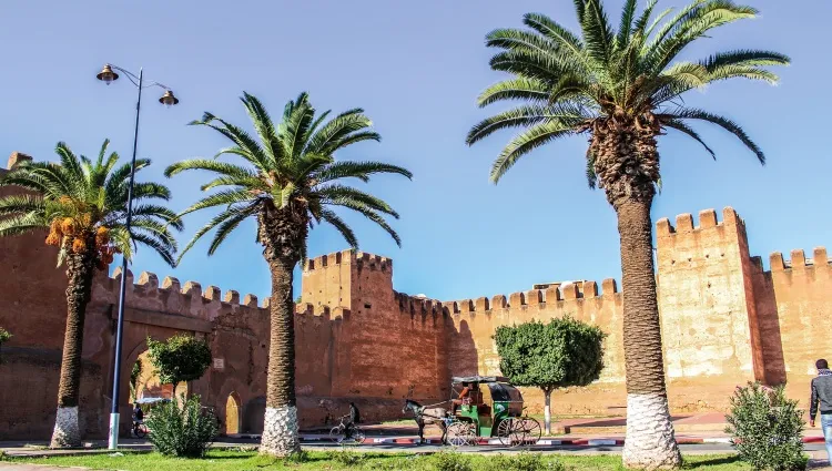 Les remparts de Taroudant 