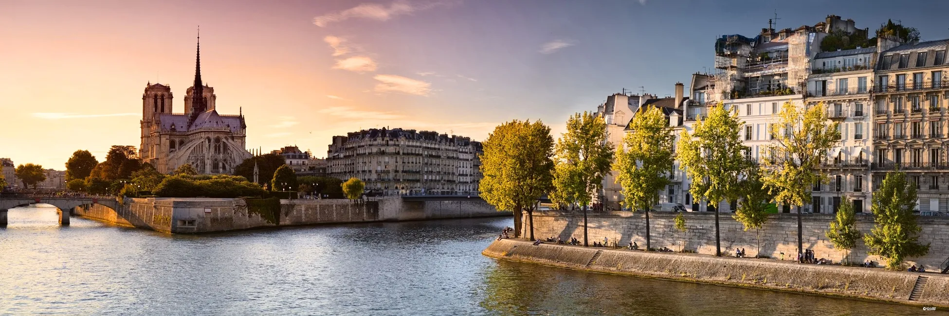 Cathédrale Notre-Dame de Paris 