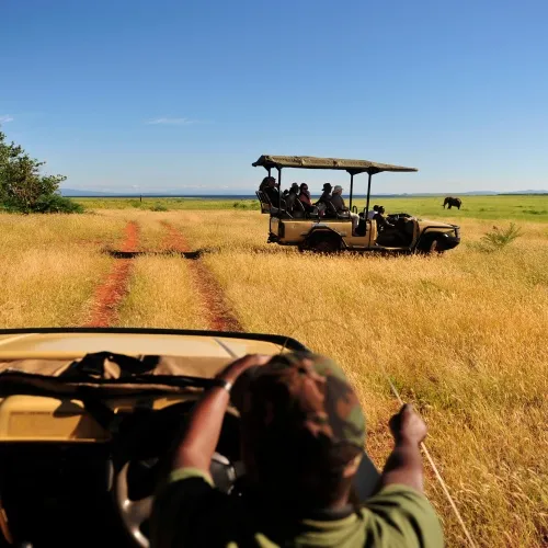 safari au parc national de matusadona