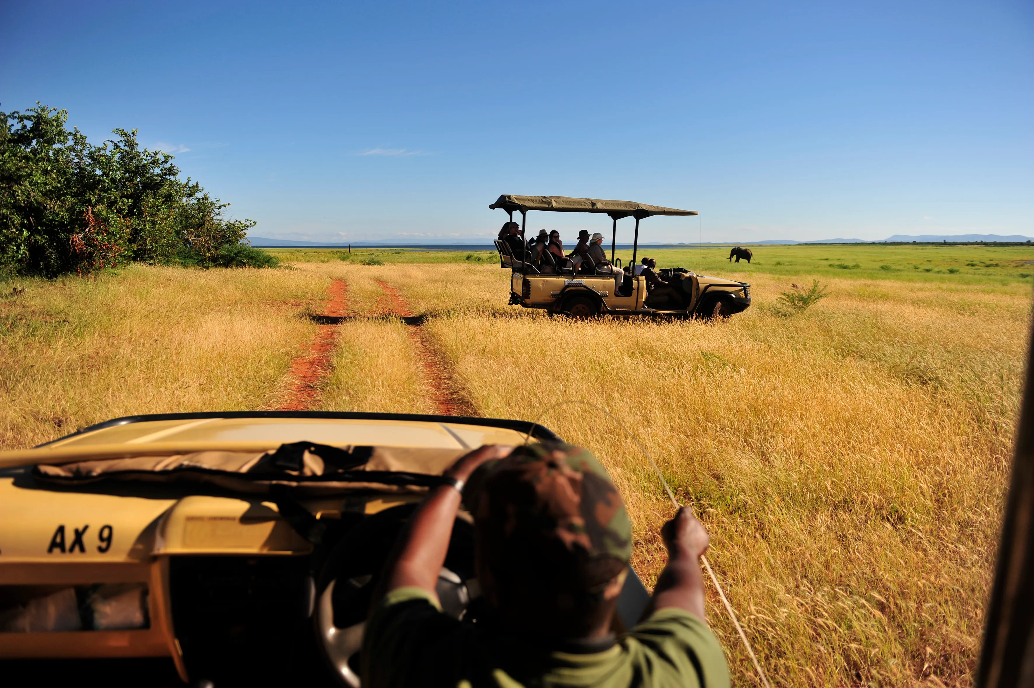 safari au parc national de matusadona