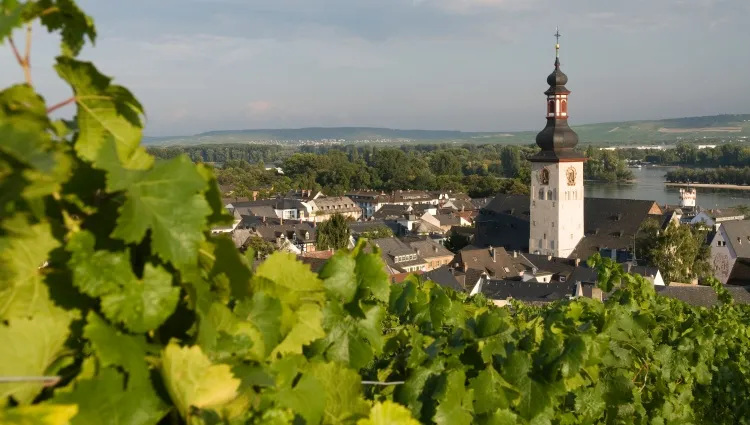 Ville de Rudesheim 