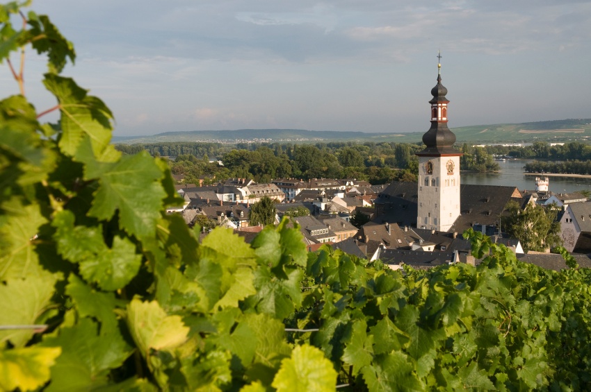 Imágenes de Excursión de Rüdesheim, museo de música y degustación de vino