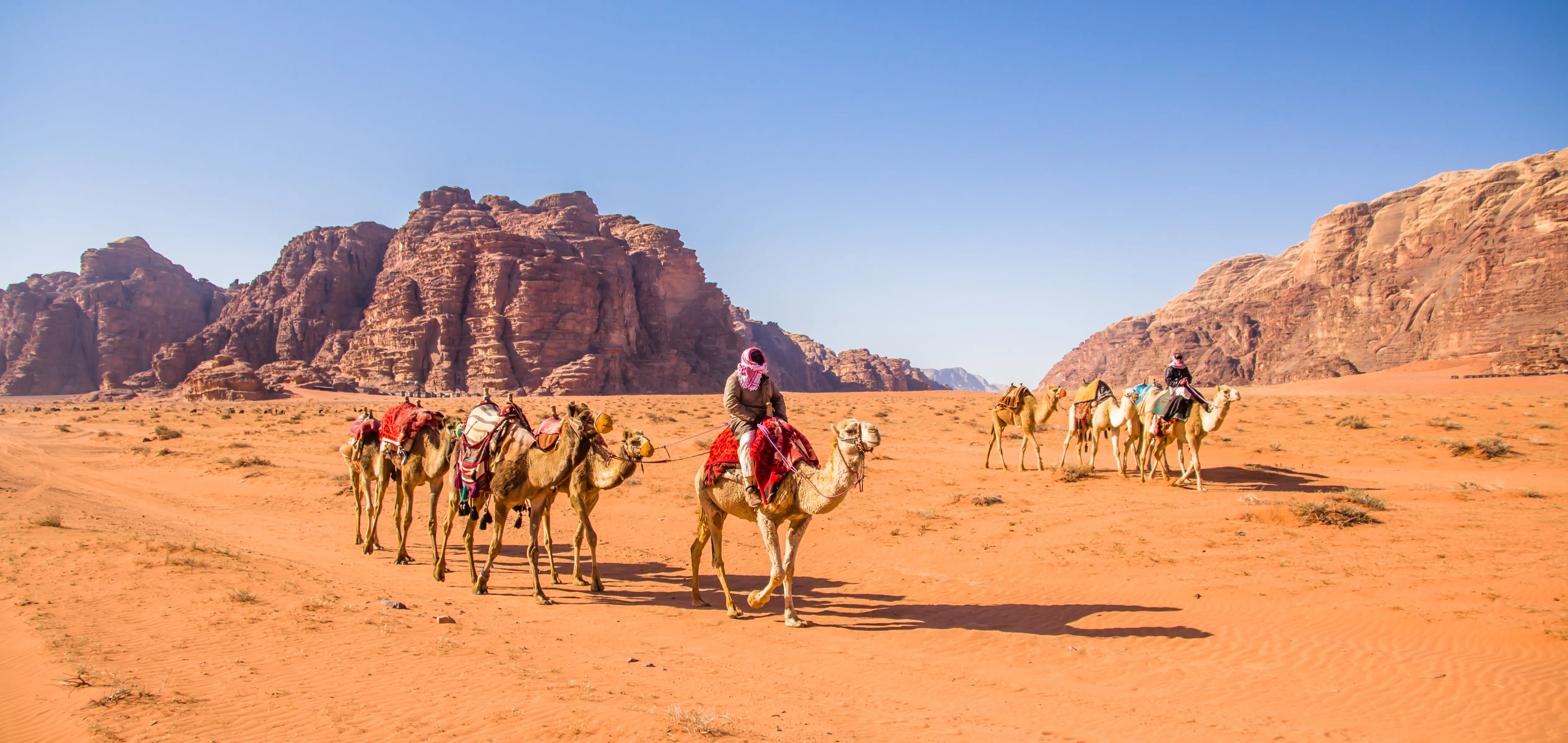Balade en chameaux dans la vallée désertique de Wadi Rum 