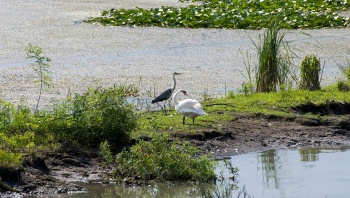 CONSTANTA - Canal Danube-Mer Noire - CERNAVODA