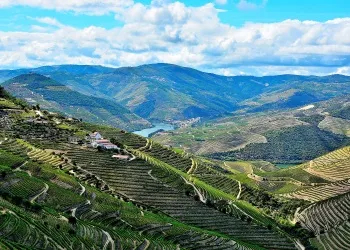 Vue panoramique sur la vallée du Douro 