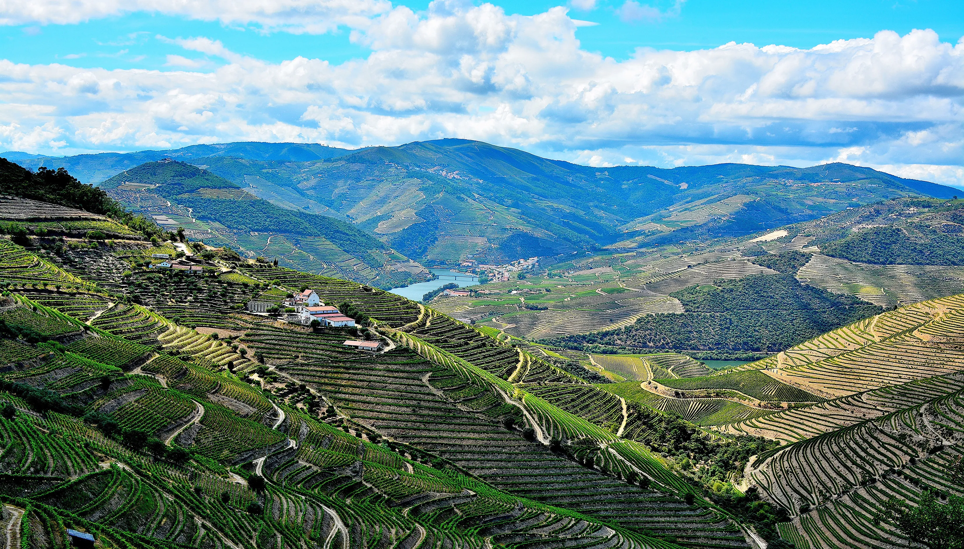 Vue panoramique sur la vallée du Douro 