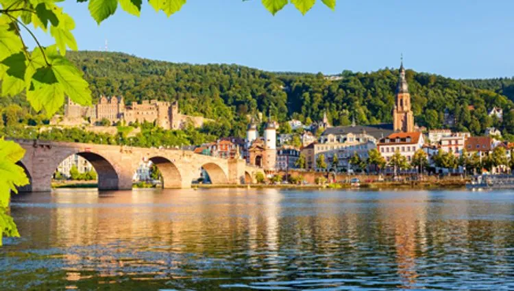 Vignette Rudesheim bordé par le Rhin 