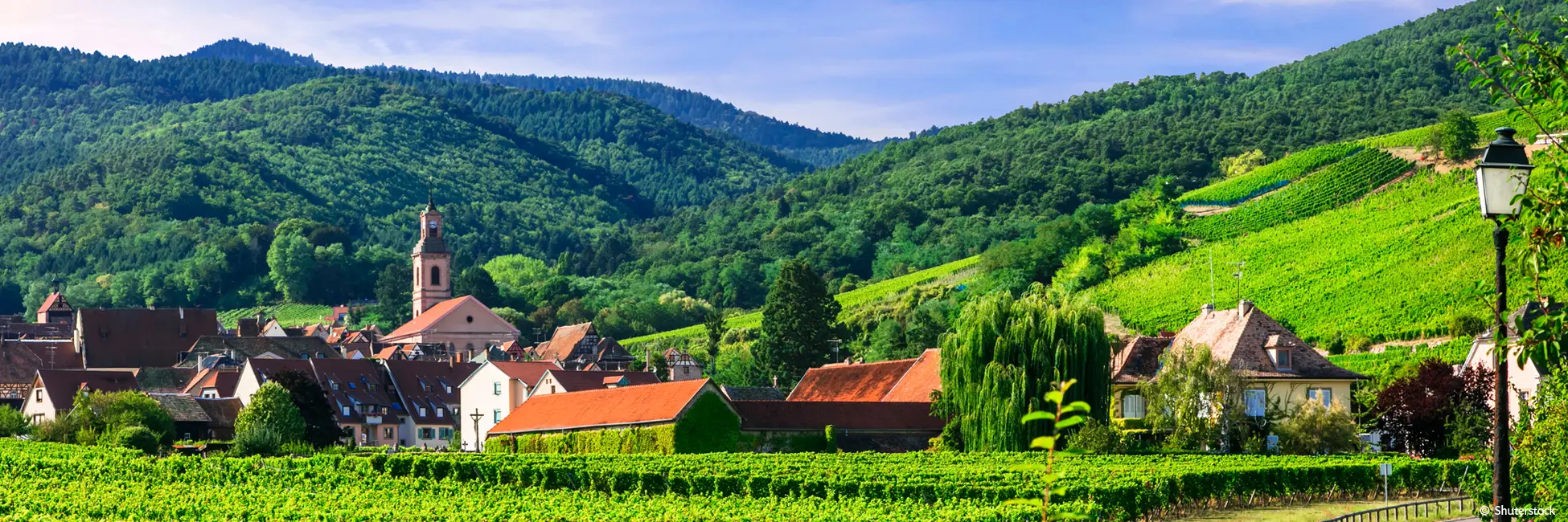 Slider route des vins en Alsace 
