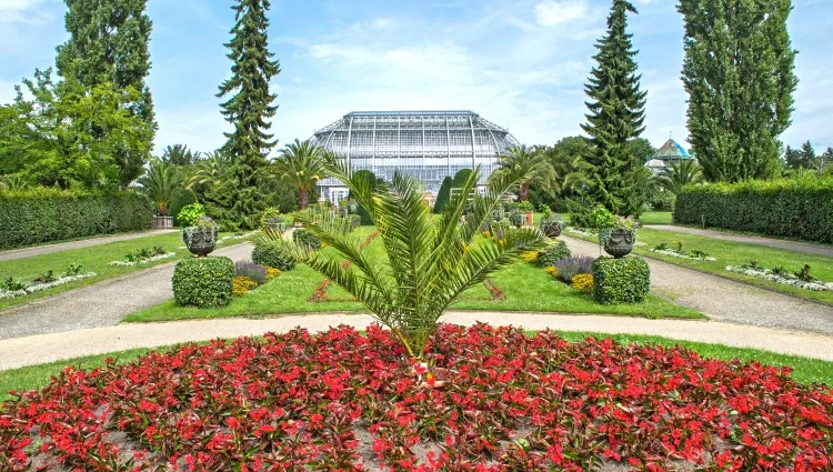 Le parc botanique de Berlin 