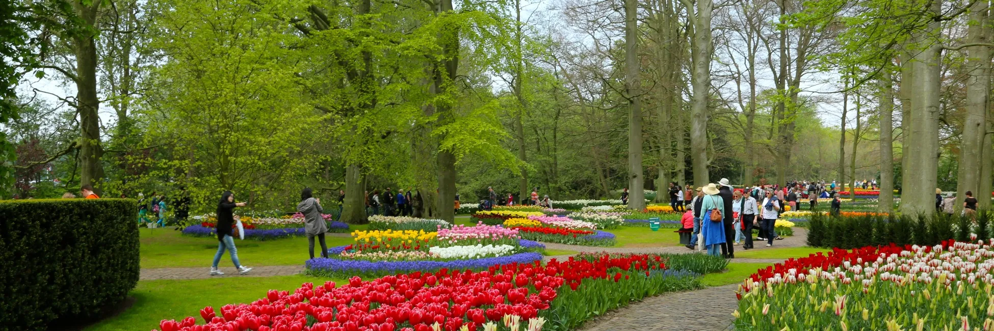 Le parc de Keukenhof 