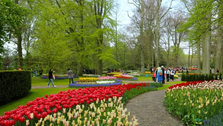 Le parc de Keukenhof 