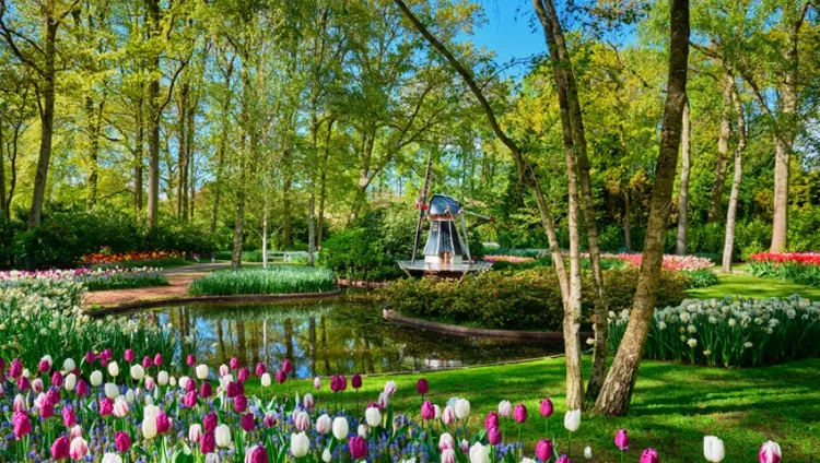 Hollande, parc de Keukenhof 