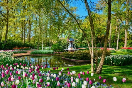 AMSTERDAM ou environs (3)