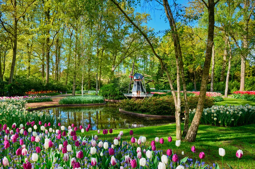 Hollande, parc de Keukenhof 