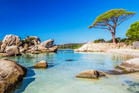 Crucero con senderismo Gran tour de Córcega desde Niza. La isla de la belleza revela sus tesoros - NAO_RANPP