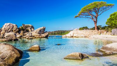 Grand tour de Corse, l'île de beauté révèle ses trésors - 5