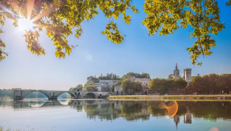 Vue ensoleillée sur Avignon 