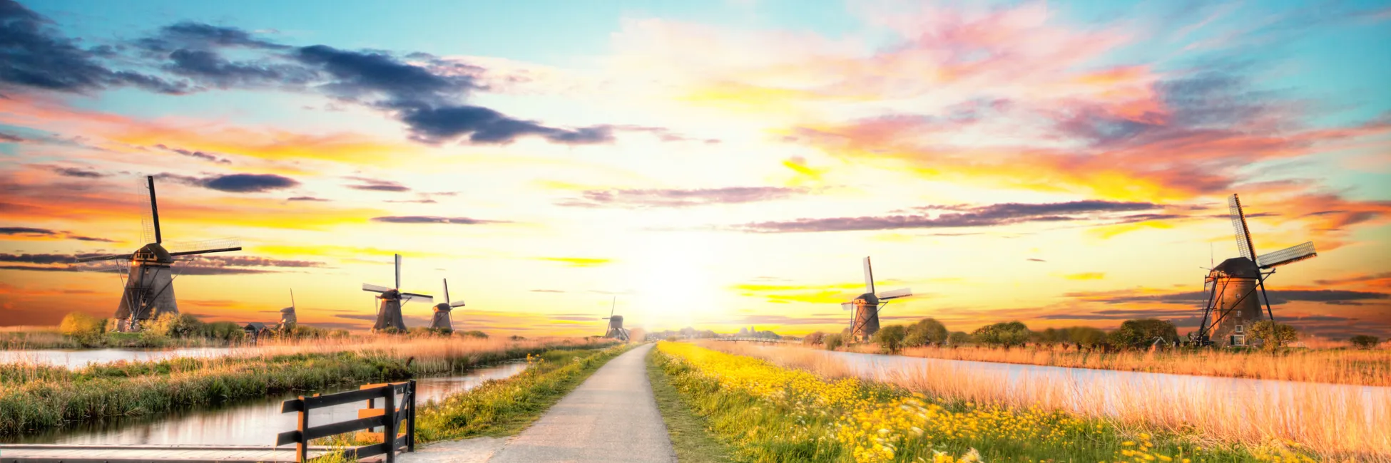 Chemin fleuris des moulis de Kinderdijk 