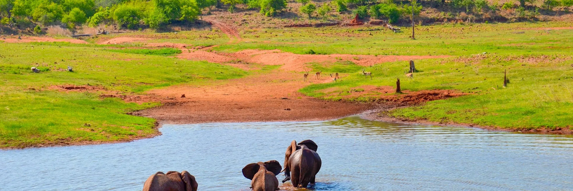 Safari au lac Kariba en Afrique