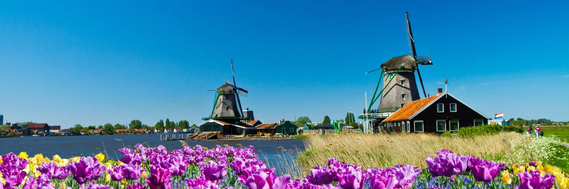 Les moulins de Zaanse Schans 