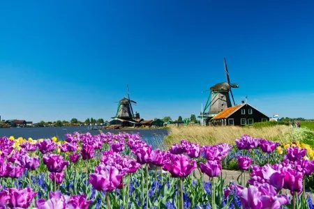 Les moulins de Zaanse Schans 