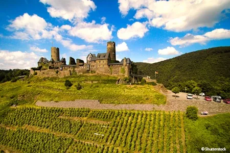 rhine castles cruise