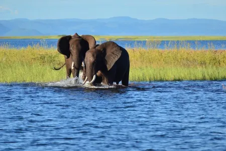 Lac Kariba en Afrique du sud