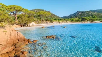 L'eau transparente de Palombaggia 