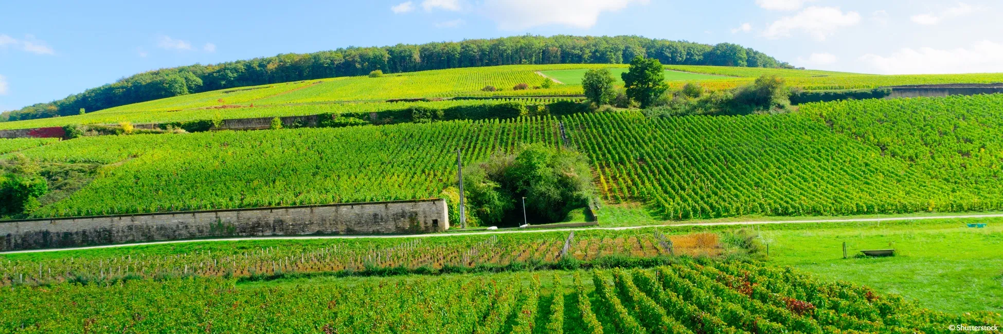 Saone et la Bourgogne - Canaux - Croisieurope 