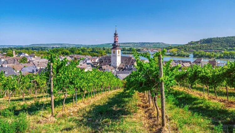 day cruises on the rhine river