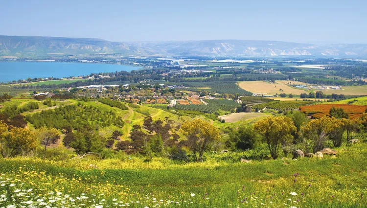 Vue du champ du Lac Galilée 