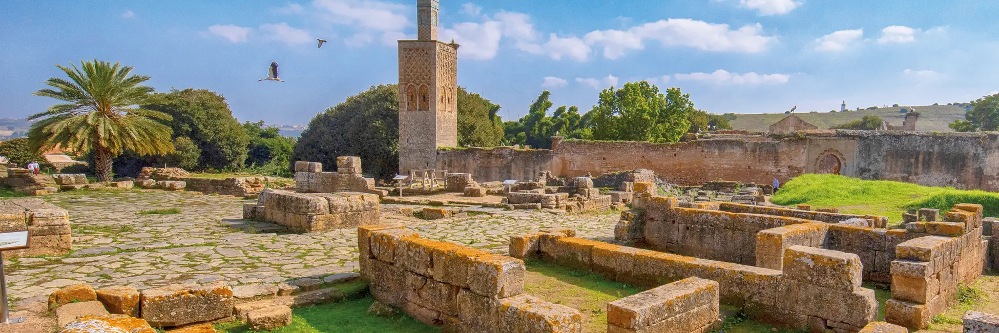 Site nécropole de Chellah à Rabat 