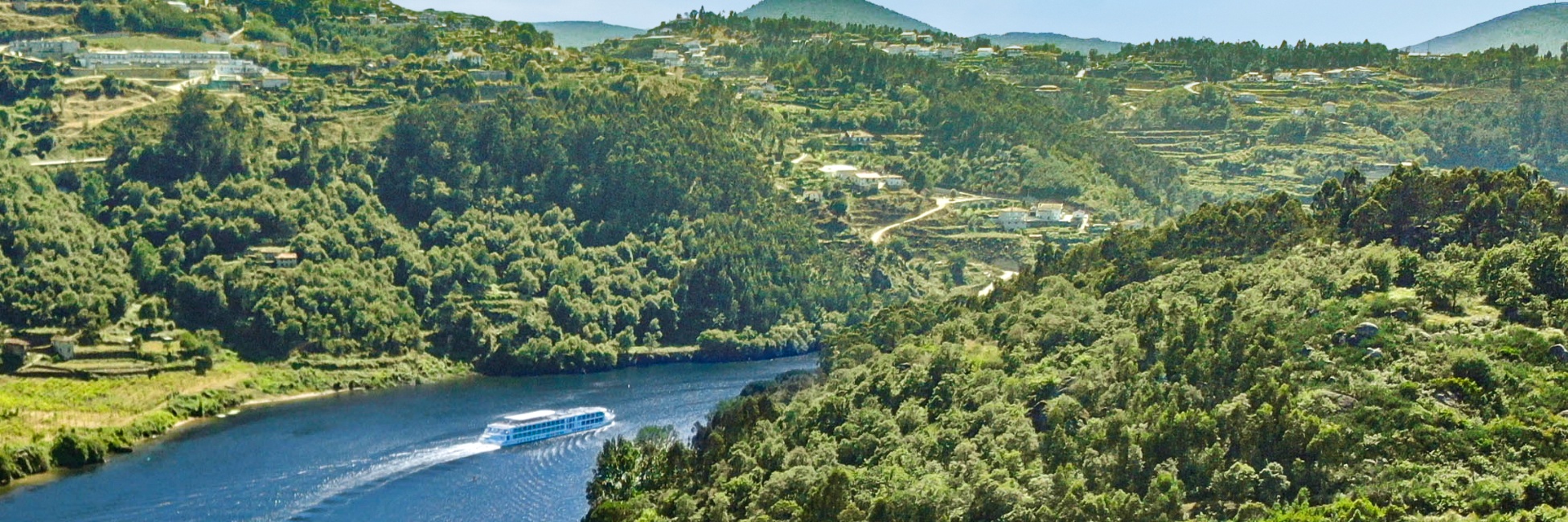 WHITE FAWN PORTRAIT #17A- Ready to Hang Dye Sublimation Print - Leucistic  Deer / Albino Deer / Whitetail Buck - Etsy, image size:1950x649