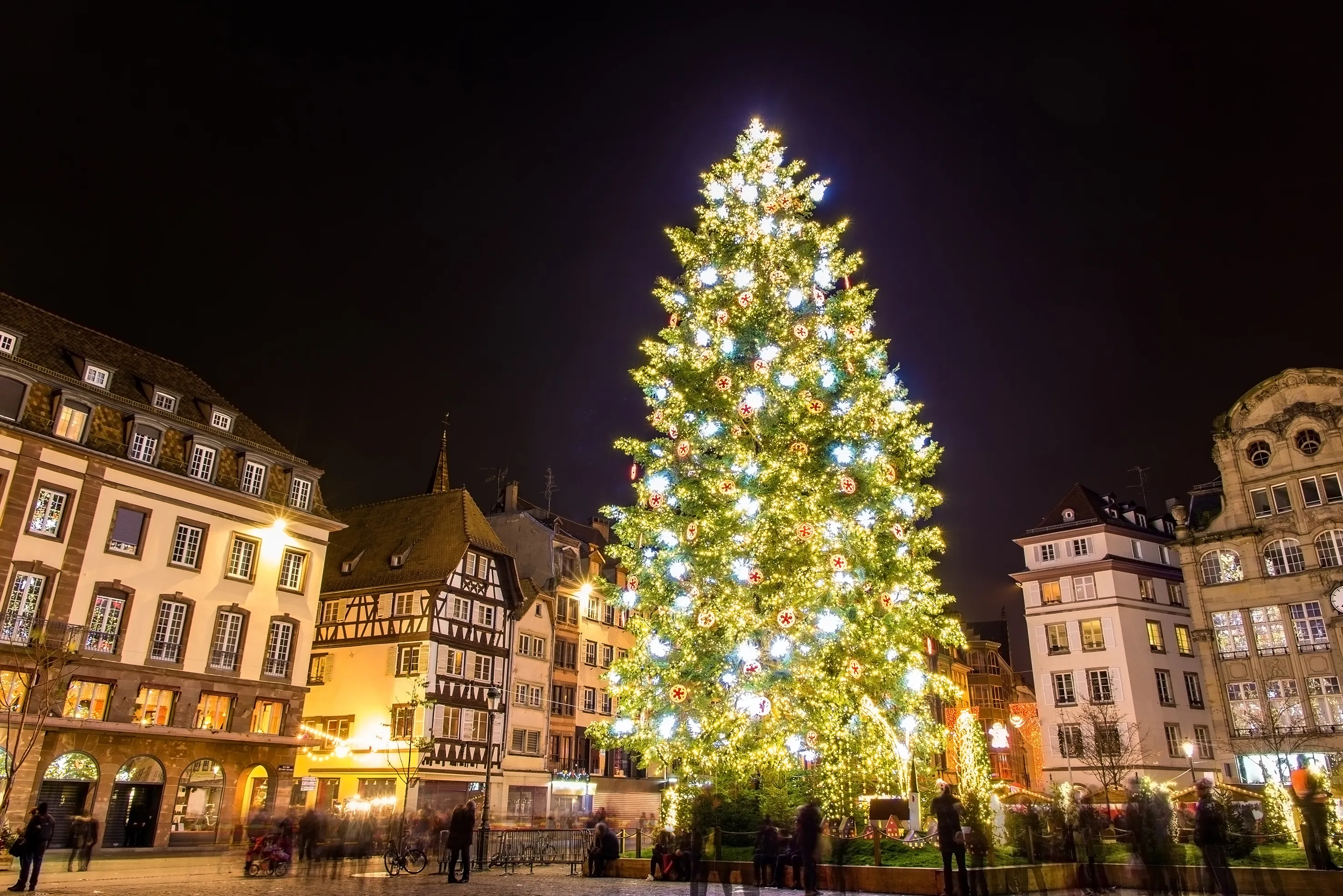 Le grandiose sapin de Noël de Strasbourg