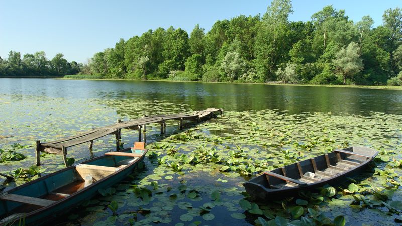 El lago Balaton, el auténtico Sava y el majestuoso Danubio - SDA_PP