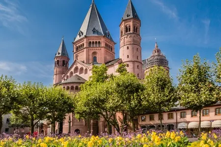 rhine castles cruise