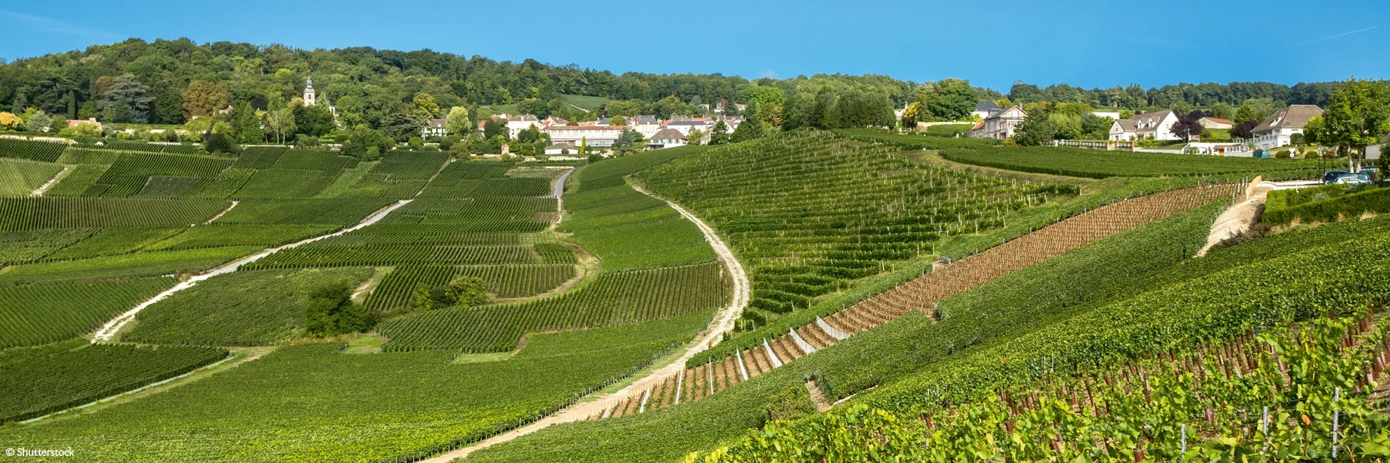 Hautvilliers et le Canal de la Marne avec CroisiEurope