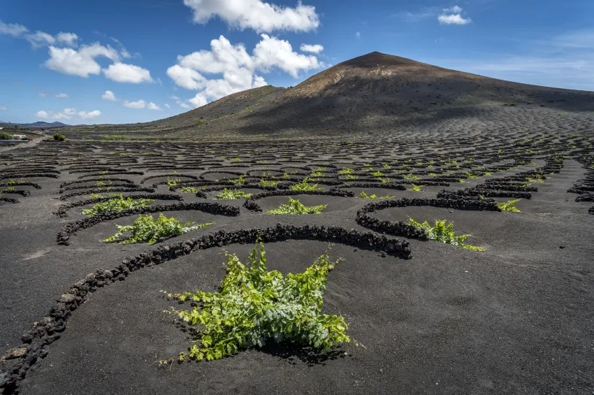 Le parc national de Timanfaya 