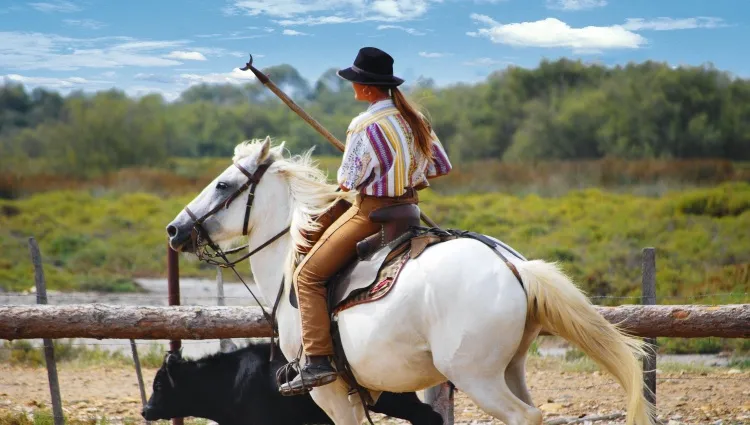 Le gardian à cheval en Camargue 