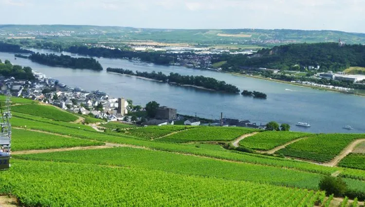 Vue sur la vallée de Niederwald 